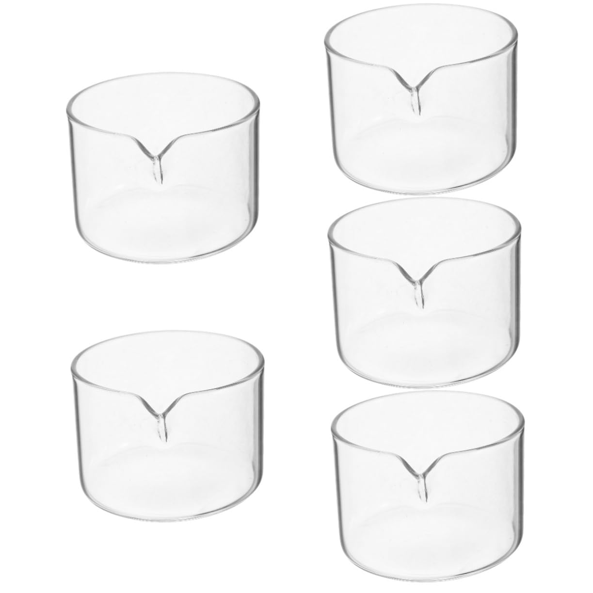 Lot De 5 Coupelles Dévaporation En Verre Pour Laboratoire Bol De Cristallisation Outil Dévaporation Bec Verseur Pour Un Versement Précis