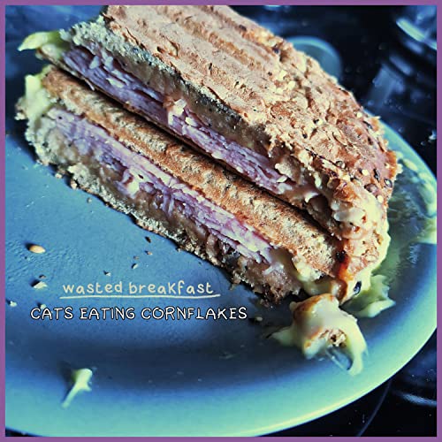 How to make eggy bread for baby (May 2024)