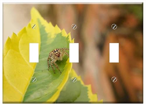 Miniatura 1 de Switch Plate Triple Toggle - Nature Insects Spider The Virginia Quindio