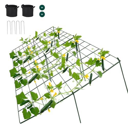 Toriexon Cucumber Trellis for Raised Bed, 48' L x 48' W...