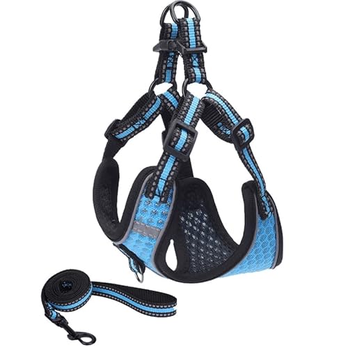 ハーネス リード 小型犬 中型犬 大型犬 LaLUCA ハーネスリードセット スタンダード 抜けない 犬用 首輪 胴輪 散歩 LaLUCA GOODS