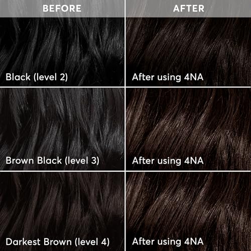 Image of Madison Reed Radiant Hair Color Kit - 4NA Darkest Ash Brown with Cool Smoky Undertones (Messina Brown), Permanent Hair Dye, Dimensional Gray Hair Blending | PPD-Free & Ammonia-Free, 2 Pack