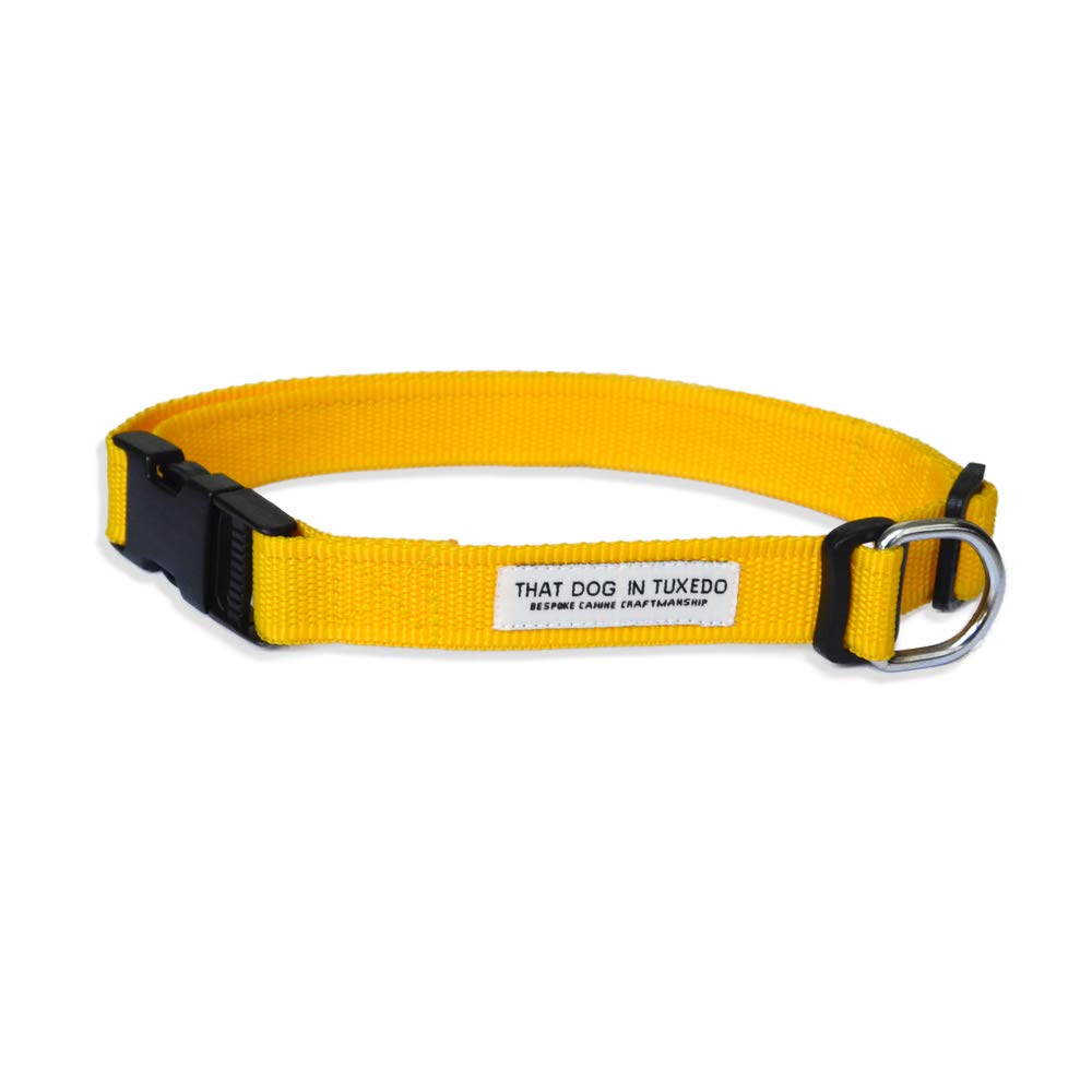 That Dog in Tuxedo Orange Nylon Adjustable Dog Collar Leash Set (M-L) (B06W5CXJVT) Amazon Price History, Amazon Price Tracker