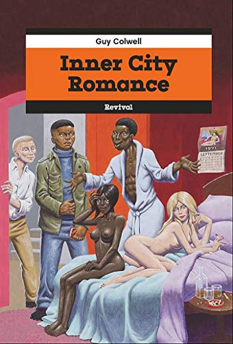 Télécharger Inner City Romance PDF