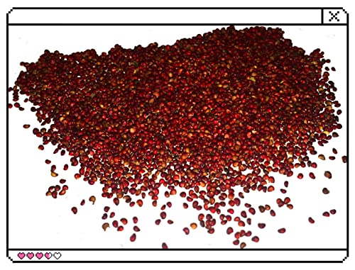 Ohxsm Rare Plant Seed Red Climbing Strawberry Seeds Garden Fruit Plant Sweet And Delicious 200+ Seeds #TOP1