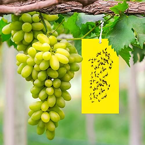 DONQL 25Pcs Fly Control Stickers, Yellow Sticky Traps Stickers for Flies, 3.9Inchx7.8Inch Dual-sided Insect Fly Paper Stickers for Mosquito, Fruit Flies, Indoor Outdoor Garden Plant Protection