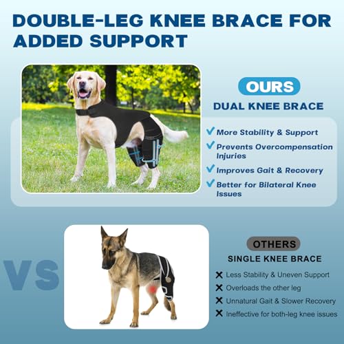 Image of Dog Knee Brace for Hind Leg - Adjustable Dog Rear Leg Support Brace with 4 Metal Stabilizers, Helps with Torn CCL, Luxating Patella, Ligament Injuries, Hip Dysplasia,L