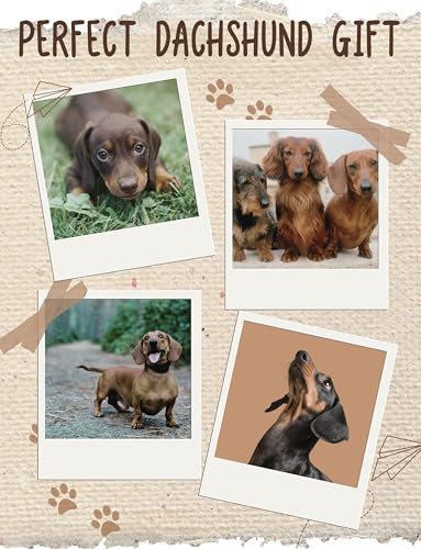 Calcetines Dachshund elásticos que no aprietan el tobillo en tallas 8.5 a 14.5 7