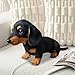 Genérico Dachshund Peluche Imagen de Genérico Dachshund Peluche