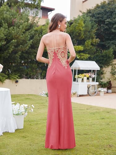 Image of Prom Dress for Women 2025 Gold Lace Applique Long Sheer Illusion Mermaid Formal Dresses Evening Gown