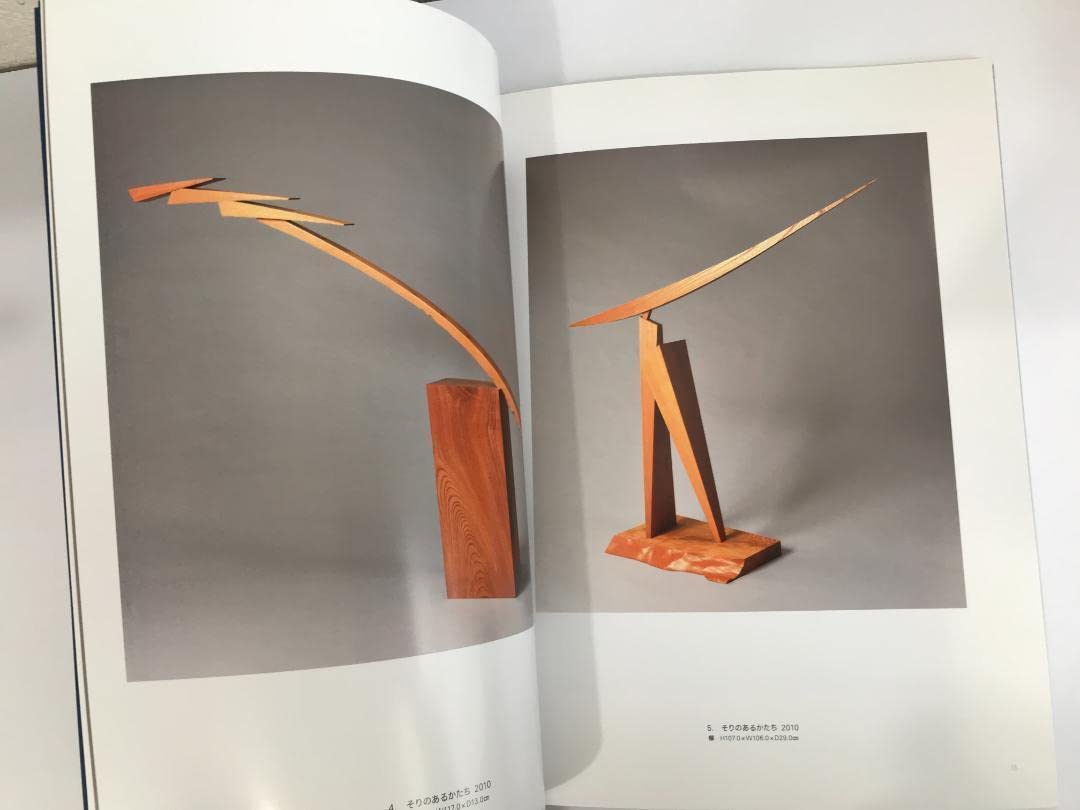 Amazon.co.jp: 図録 「 そりのあるかたち 澄川喜一 彫刻展