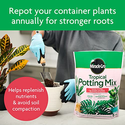 Miracle-Gro Tropical Potting Mix, 6 qt. (2-Pack) | Growing Media for Tropical Plants Living in Indoor and Outdoor Containers - image 9