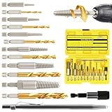 QIFITOOL 14-Pieces Screw Extractor and L...