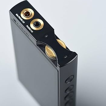 Amazon.co.jp: Lotoo PAW6000 DSD256/PCM768 ネイティブ再生対応