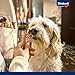 Vitakraft Beef Stick Pute, Hundeleckerli, Fleischstick Pute, Hunde Trainingsleckerli, ohne Zusatz von Zucker (1x 12g)