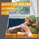 FRONTPRO Hund M - Kautablette gegen Zecken & Flöhe (Hunde 4 bis 10 kg) - 3X Kautabletten für 3 Monate Zecken- und Flohschutz