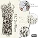 ACRYCS 50 Pcs Real Pussy Willow Branches for Vases 16