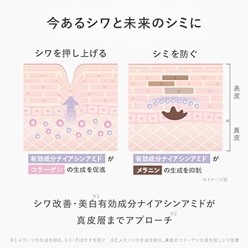 Amazon.co.jp: AMPLEUR(アンプルール) 薬用リンクルブライト