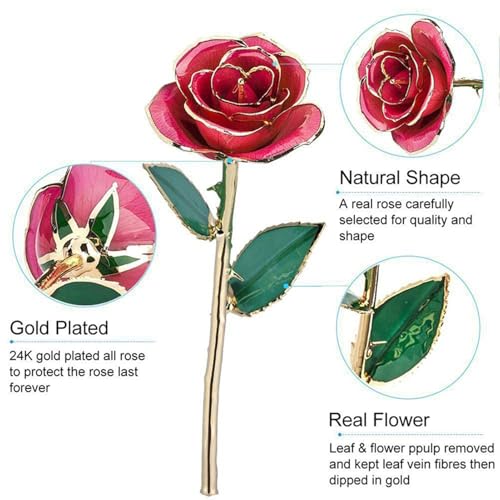 Rose Plaquée Or : fleur décorative avec base métallique pour salon et bureau - 3