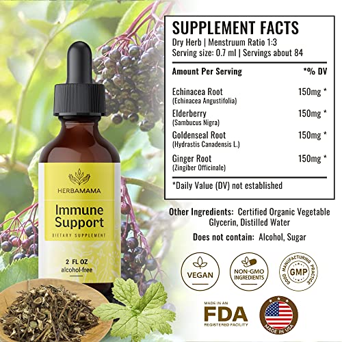 Herbamama Immune Support Liquid Extract - Organic Tincture With Elderberry, Echinacea, Ginger & Goldenseal Root - Herbal Drops For Immunity - Vegan Supplement, No Sugar Or Alcohol - 2 Fl. Oz #TOP1