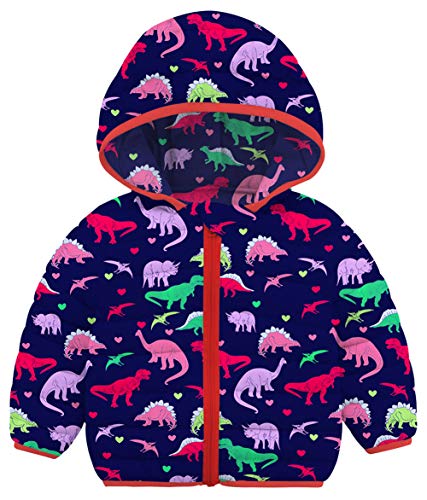 Baby Kids Winter Coats Hoods Ultralight Toddler Girl Dinosaur Puffer Coats Cute Zipper Cable Outwear Snowsuit for Snow Rain Or Cold Weather 6-12 Month