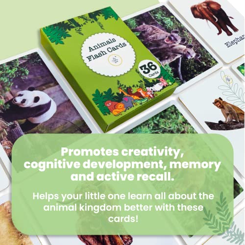 Image of Animals | 36 Laminated Anti-Glare Flash Cards | Montessori Inspired Fun & Easy to Learn Toys for Kids