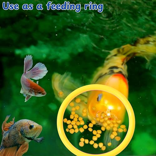 Image of Betta Fish Enrichment Toys Ring and Filter Balls set, Fishes Ring Enrichment Toy and Tank Cleaner Ball, Aquarium Feeding Rings with Nitrifying Balls, Betta Fish Tank Accessories (Yellow, 6.4cm)