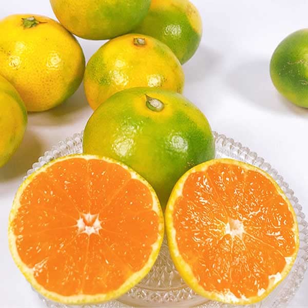 nana　和歌山県産ゆら早生みかん赤秀　S10kg Amazon.co.jp: 有田 みかん ゆら早生みかん 小玉 赤秀 Sサイズ