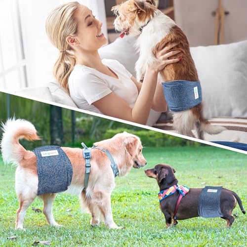 Image of Langsprit Male Belly Bands for Dogs (Pack of 3) - Dog Diapers Male - High Absorbing Dog Wraps Washable - Reusable Small Doggy Doggie Puppy Dog Diapers Jeans XXL