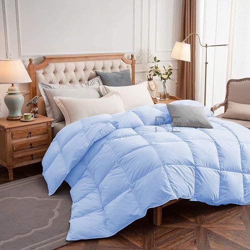 Image of PURE ECO 300 GSM Comforter for King Size - Luxury & Soft Microfiber 300 GSM Comforter for Winter - Duvet /Blanket King Size (90 inchX106 inch) - Sky Blue Color