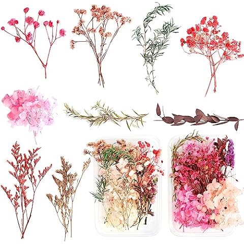 Real Dried Flowers for Crafts and Decorations Cover