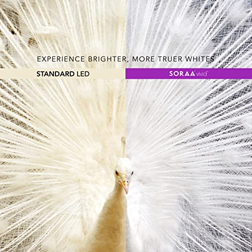 Soraa Vivid Par30 Short Neck 18.5W Dimmable 2700K 25 Degree Spot Light Bulb #TOP4