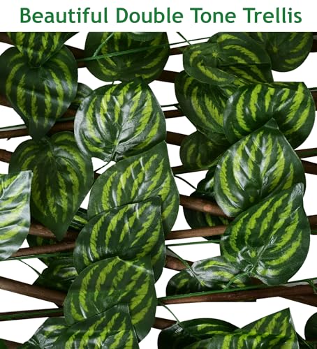 Image of Artificial Grass Trellis with Money Plant Leaves (2 Pieces) Expandable Grass Fence I UV Protected I Outdoor Indoor (Green, 1 Piece is 2.29 Feet x 0.75 Feet, expands to 5 FEET x 1.6 Feet)