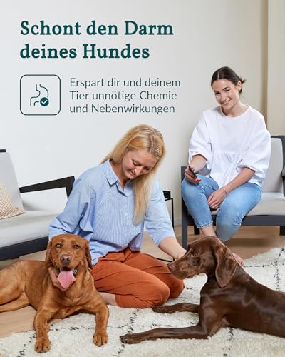 vetevo Wurmtest Hund Basic, Präziser Hunde Wurmtest, Test auf Parasiten wie Spulwürmer, Hakenwürmer & Kokzidien, Ergebnis in 12h, Für alle Hunde