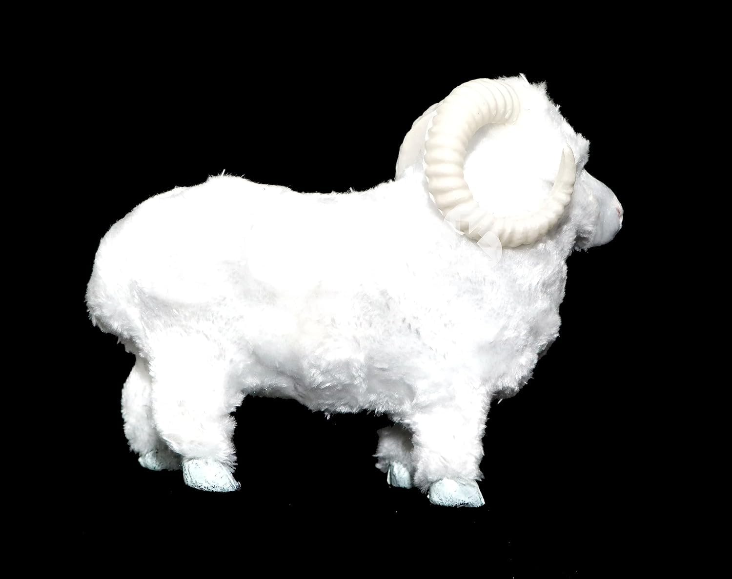 sheep♪ Javeed sheep farm sold out Nellore jodipi call 97912 95703 sheep