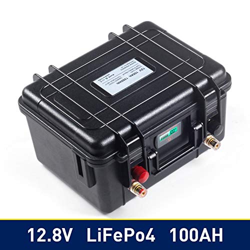 Lifepo4 12V 100Ah Caravana De La Batería De La Batería Marina De Ciclo Profundo, Construido En El Consejo De Protección De BMS