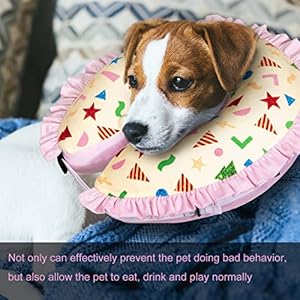 CuteBone Inflatable Dog Donut Collar Alternative for Large Dogs After Surgery-Double Adjustable Neck Range P23SO00104L