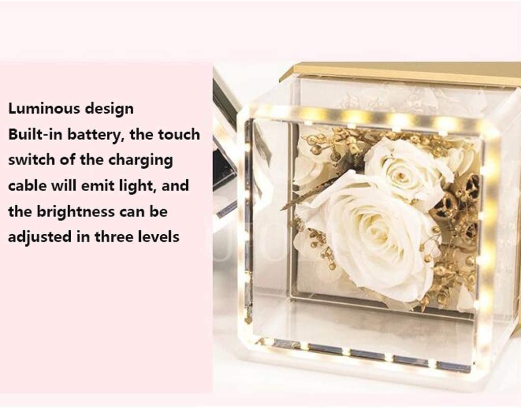 Joyero Organizador de joyas Caja organizadora luminosa táctil Exquisita propuesta portátil Regalo de cumpleaños Joyas Anillo de diamantes Caja de almacenamiento Accesorios de dormitorio (Color: D) (F)