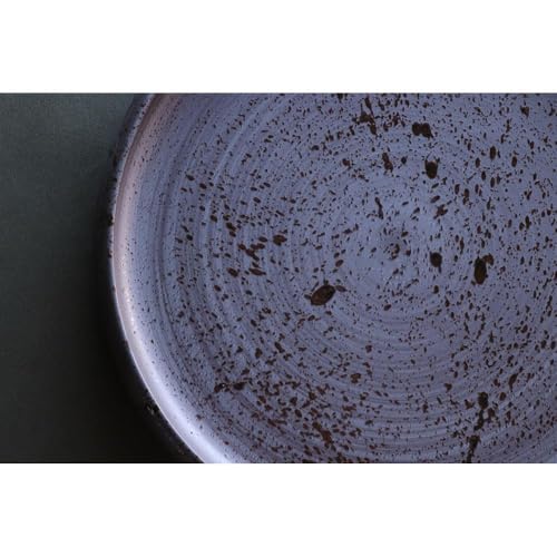 [波佐見焼]en-poire プレート 2枚セット 24cm (ブラック) 食器 皿 [和山] [WB140]