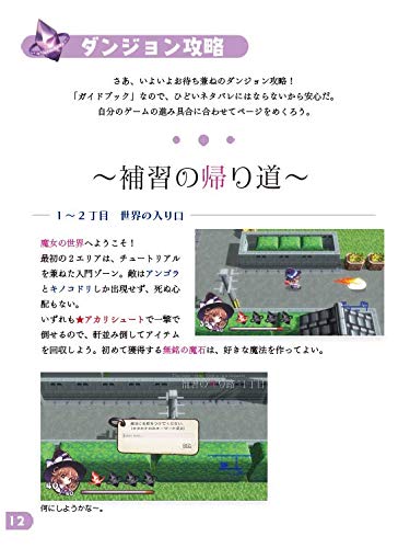 Amazon.co.jp: 魔法の女子高生 公式ガイドブック : PCソフト