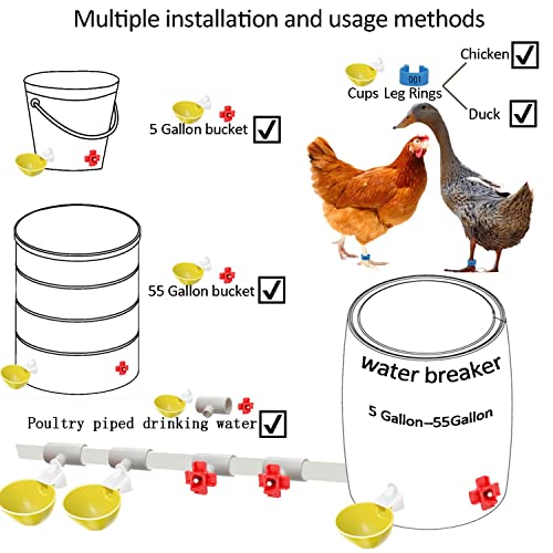 Complete Set,Automatic Chicken Water Cup With Pvc Tee,Chicken Waterer Pvc Tee Fitting,Poultry Waterer,Chicken Water Nipples,Chicken Feeders No Waste,Chicken Leg Bands,Baby Chick Leg Bands,Duck,Quail #TOP3