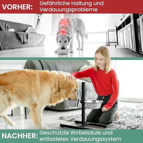 Oramics Hundebar Fressnapf Höhenverstellbar deluxe für Welpen und große Hunde mit zwei Edelstahl-Näpfen als Futternapf und Wasser-Napf