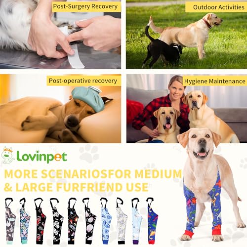 Image of LovinPet Dog Elbow Protector Anti-Licking Elbow Sleeve, Adjustable, Comfortable & Durable Front Leg Guard for Medium to Large Dogs, Prevents Licking and Chewing,Dog Sleeve,Dog Leg Sleeve,Red