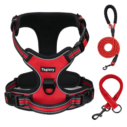 Taglory Dog Harness for Large Dogs and Leash Set, 6 FT Padde