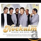 nockalm quintett termine 2019 deutschland  Schenk\' Mir Deine Träume