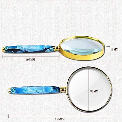Loupe portable 10x haute définition Wisdom pour lecture