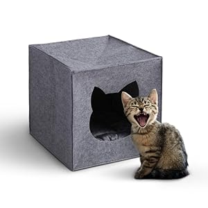 Bestlivings Katzenh&ouml;hle Filz f&uuml;r Regale (33x33x33cm) &Ouml;KO-Tex - Katzenkorb inkl. Kuschelkissen - faltbares Katzenbett - H&ouml;hle f&uuml;r Katzen - Tierbett