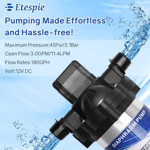 Image of Automatic-Demand Diaphragm Pump 2088-343-135, 12V DC, 3.0 GPM With Viton Valves, 45 PSI Demand Switch, Santoprene Diaphragm, Self-Priming, MAX 10 AMPS, 1 /2 inch-14 NPSM Port