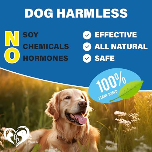 Flea and Tick Prevention Chewable Pills for Dogs and Cats - Revolution Oral Flea Treatment for Pets - Pest Control & Natural Defense - Chewables Small Tablets Made in USA (Beef)