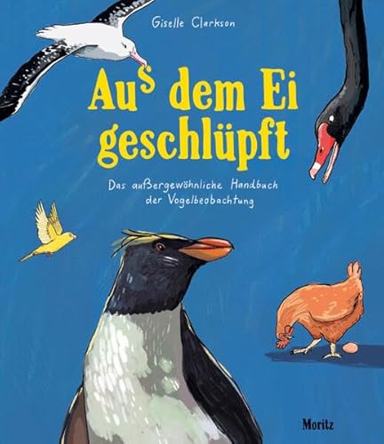 Aus dem Ei geschlüpft: Das außergewöhnliche Handbuch der Vogelbeobachtung